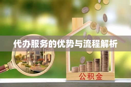 田尾代办服务的优势与流程解析