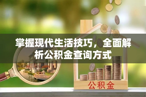 田尾掌握现代生活技巧，全面解析公积金查询方式