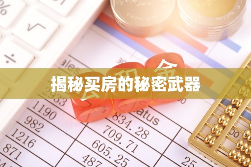 田尾揭秘买房的秘密武器