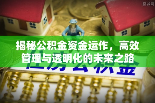 田尾揭秘公积金资金运作，高效管理与透明化的未来之路