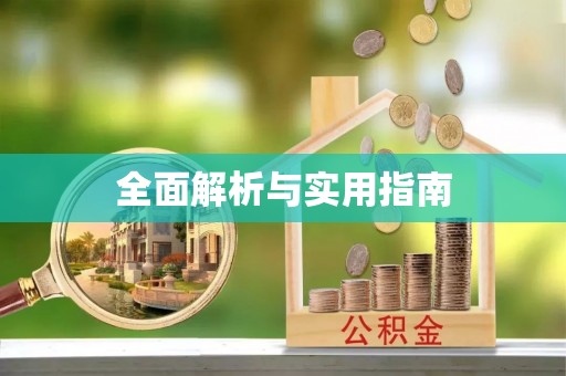 田尾全面解析与实用指南