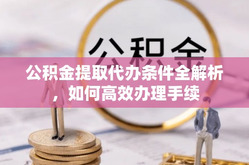 田尾公积金提取代办条件全解析，如何高效办理手续