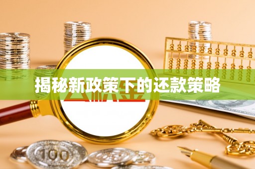 田尾揭秘新政策下的还款策略