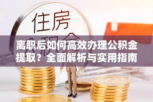 田尾离职后如何高效办理公积金提取？全面解析与实用指南