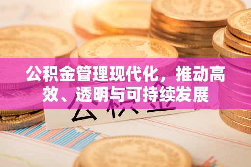 田尾公积金管理现代化，推动高效、透明与可持续发展