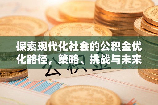 田尾探索现代化社会的公积金优化路径，策略、挑战与未来展望