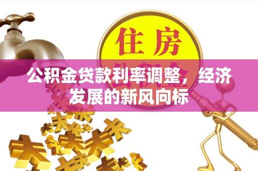 田尾公积金贷款利率调整，经济发展的新风向标