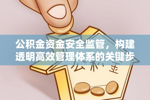 田尾公积金资金安全监管，构建透明高效管理体系的关键步骤