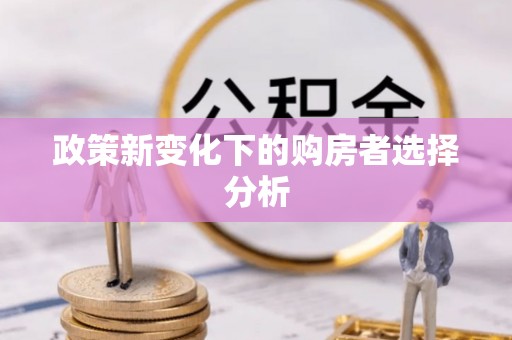 田尾政策新变化下的购房者选择分析