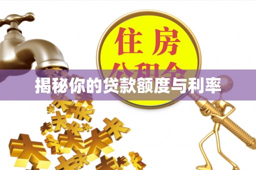 田尾揭秘你的贷款额度与利率