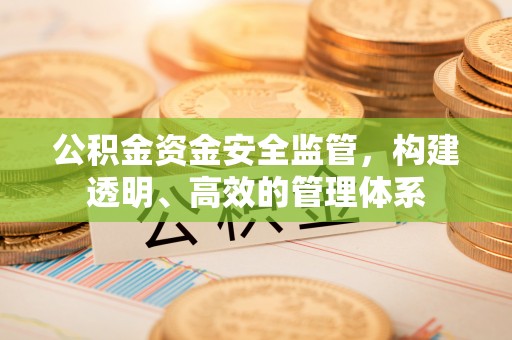 田尾公积金资金安全监管，构建透明、高效的管理体系