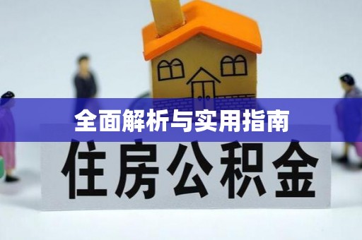 田尾全面解析与实用指南
