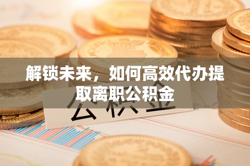 田尾解锁未来，如何高效代办提取离职公积金