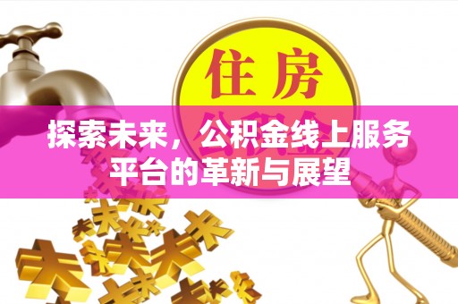田尾探索未来，公积金线上服务平台的革新与展望