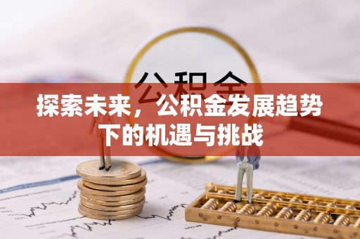田尾探索未来，公积金发展趋势下的机遇与挑战