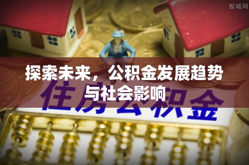 田尾探索未来，公积金发展趋势与社会影响