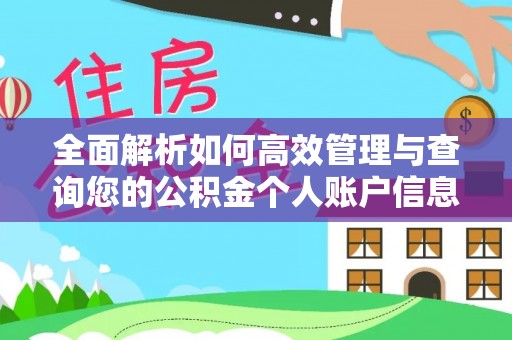 田尾全面解析如何高效管理与查询您的公积金个人账户信息