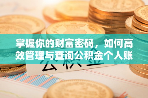 田尾掌握你的财富密码，如何高效管理与查询公积金个人账户信息