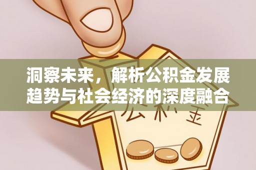 田尾洞察未来，解析公积金发展趋势与社会经济的深度融合