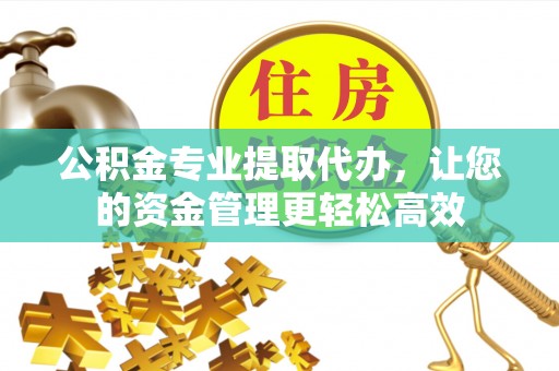 田尾公积金专业提取代办，让您的资金管理更轻松高效