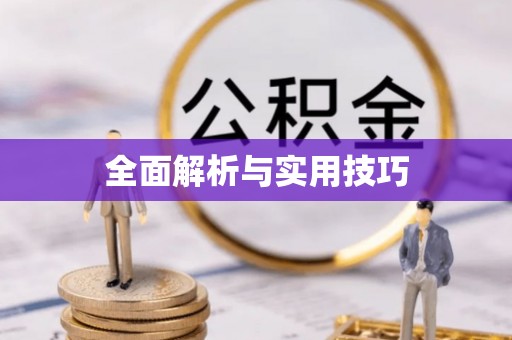 田尾全面解析与实用技巧