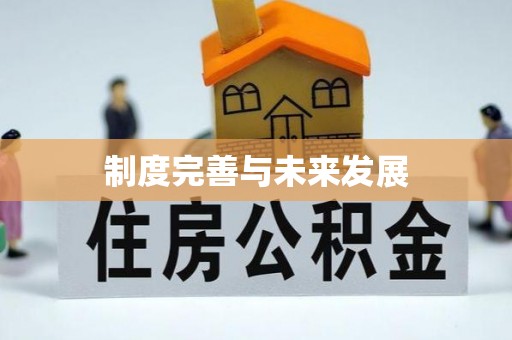 田尾制度完善与未来发展