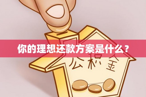 田尾你的理想还款方案是什么？