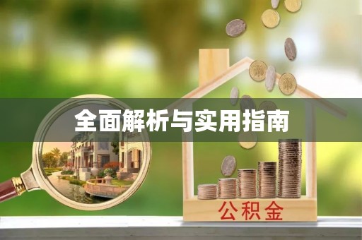 田尾全面解析与实用指南