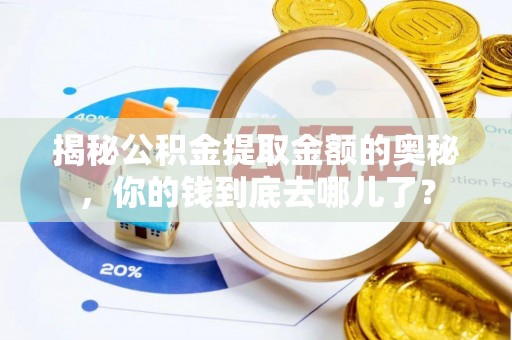 田尾揭秘公积金提取金额的奥秘，你的钱到底去哪儿了？
