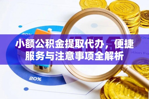 田尾小额公积金提取代办，便捷服务与注意事项全解析