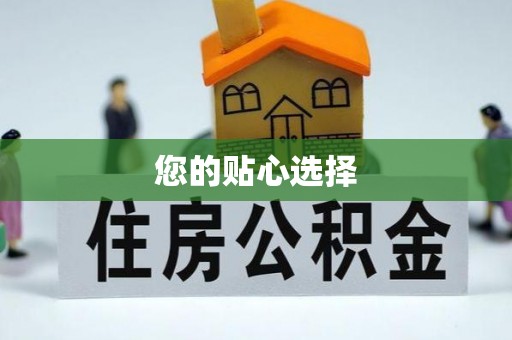 田尾您的贴心选择