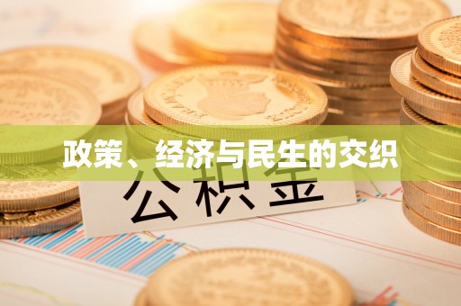 田尾政策、经济与民生的交织