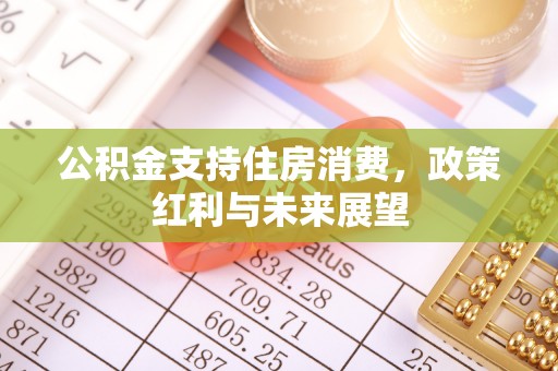 田尾公积金支持住房消费，政策红利与未来展望