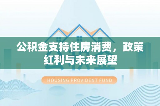 田尾公积金支持住房消费，政策红利与未来展望