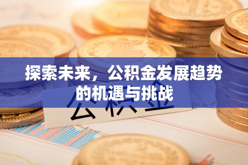 田尾探索未来，公积金发展趋势的机遇与挑战