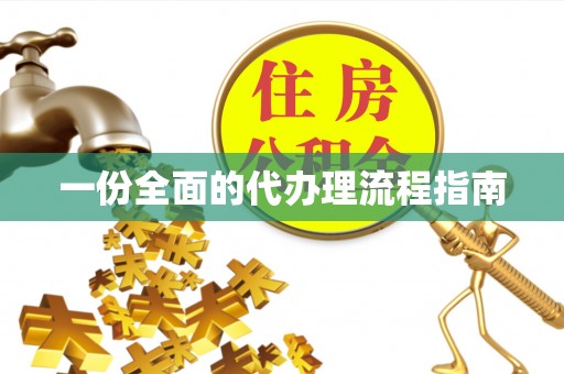 田尾一份全面的代办理流程指南