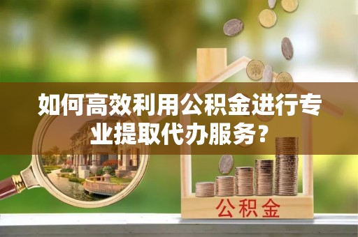 田尾如何高效利用公积金进行专业提取代办服务？
