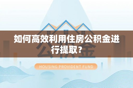 田尾如何高效利用住房公积金进行提取？