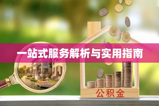 田尾一站式服务解析与实用指南
