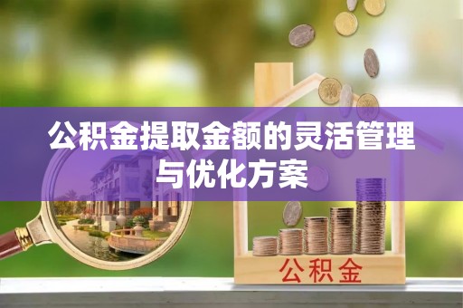田尾公积金提取金额的灵活管理与优化方案