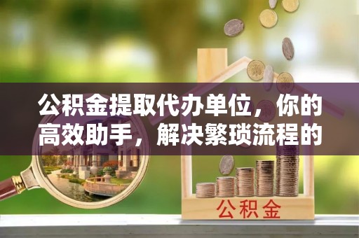 田尾公积金提取代办单位，你的高效助手，解决繁琐流程的不二之选