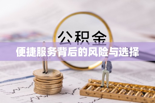田尾便捷服务背后的风险与选择