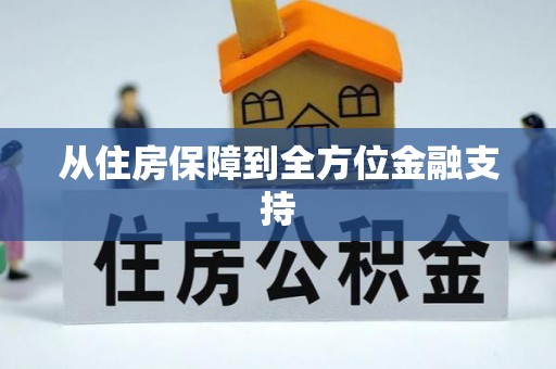 田尾从住房保障到全方位金融支持