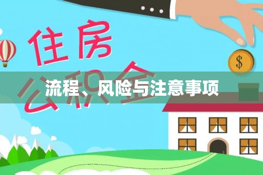 田尾流程、风险与注意事项