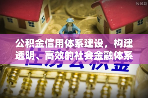田尾公积金信用体系建设，构建透明、高效的社会金融体系